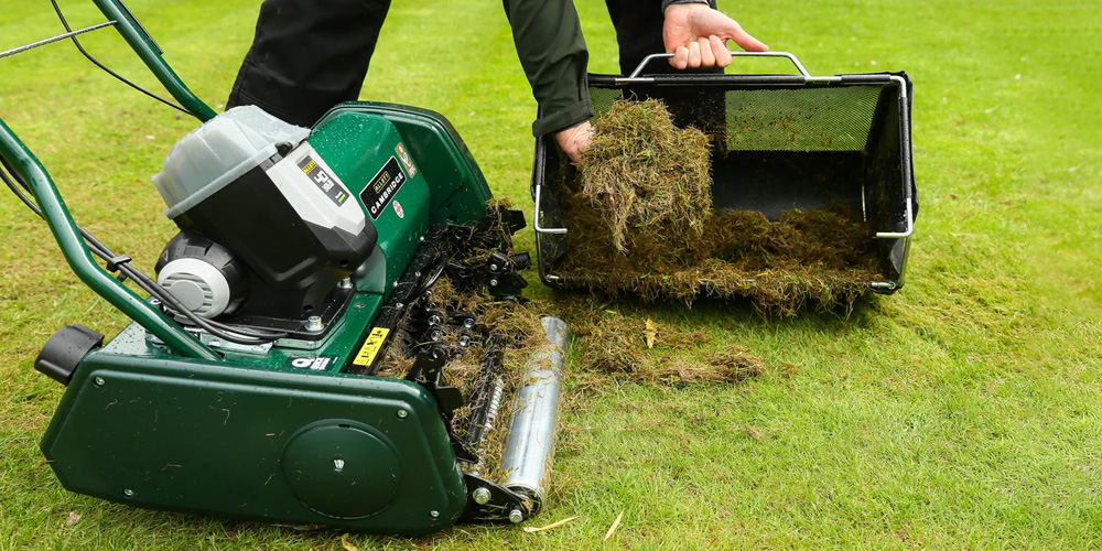Choosing the Best Lawn Mower for Smooth, Time-Efficient Grass-Cutting