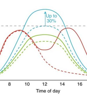 Consulting-and-installing-Optimized--Solar-2 Consulting-and-installing-Optimized--Solar-2